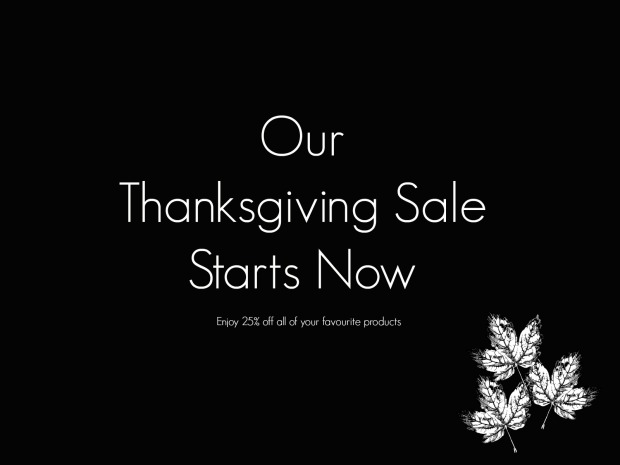 Thanksgiving Sale Day.jpg